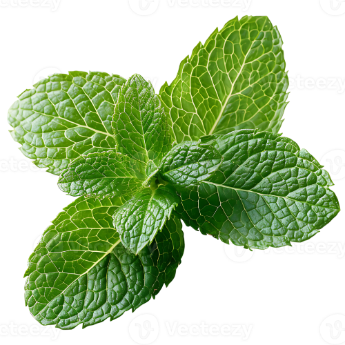 Menthol - Food Grade Flavouring