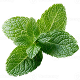 Menthol - Food Grade Flavouring