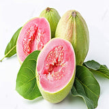 Huckabuck - Pink Guava Lychee Ice