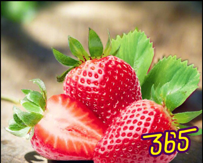 Strawberry E=Liquid